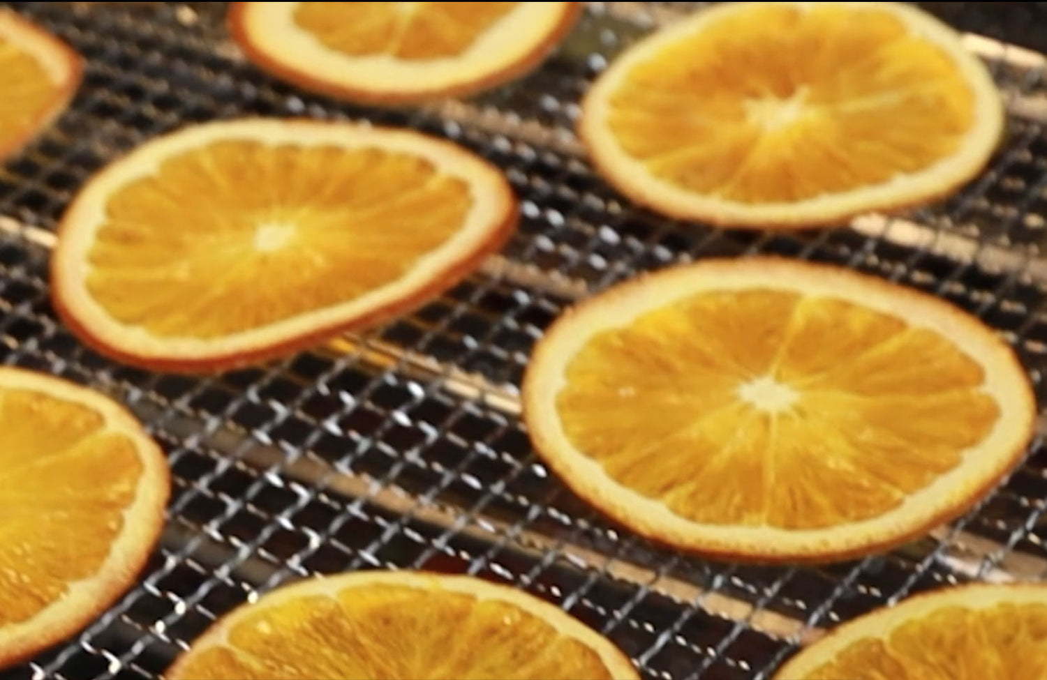 Omcan 12 Trays Stainless Steel Food Dehydrator w/ Digital Control