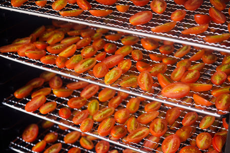 Food Dehydrator Buyer’s Guide