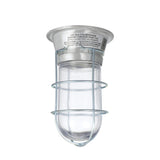 Component Hardware L55-1024-CSA - 100W Surface Mount CSA Approved Incandescent Hood Light With Clear Coated Tempered Glass Globe And Wire Guard