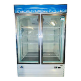 Danair NRG-2-GDF-54-HC 2 Glass Door Freezer - Cosmetic Damage