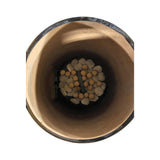 Tandoor Morni CS-02 Tandoori Oven - Natural Gas