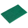 Winco SP-96N - Nylon Scouring Pads, 6-Pieces/Pack