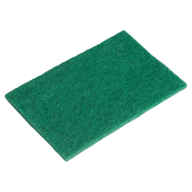 Winco SP-96N - Nylon Scouring Pads, 6-Pieces/Pack
